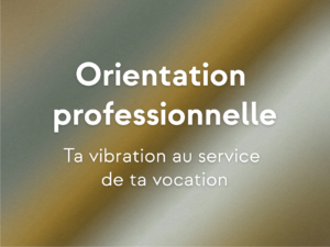 Orientation professionnelle (40 min)